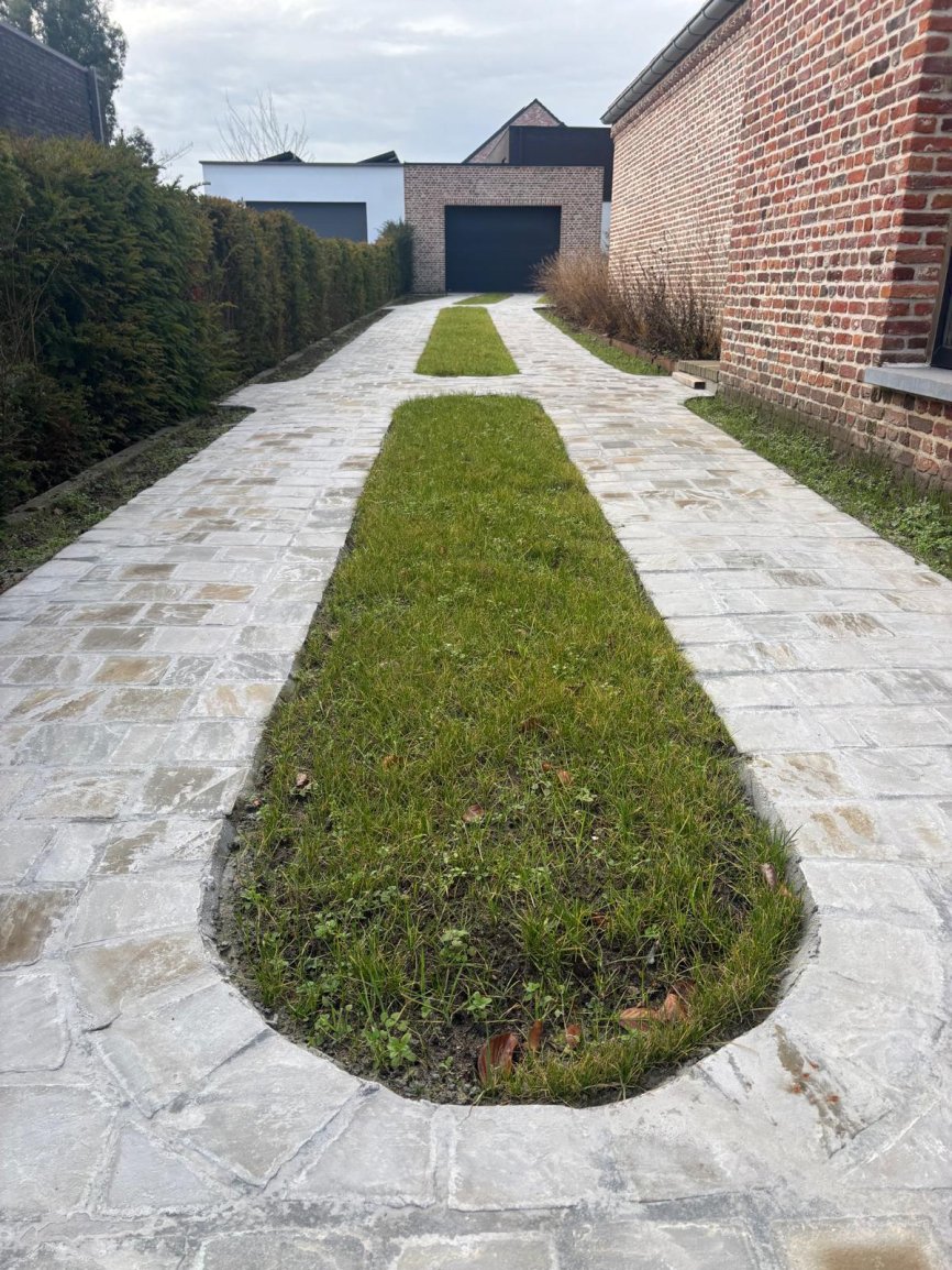 WhatsApp Image 2026 03 17 at 11