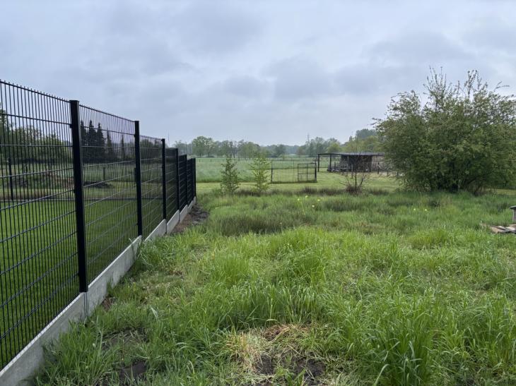 Fundament aannemingen Graszoden Grasmatten tuinaanleg Beerzel Putte01